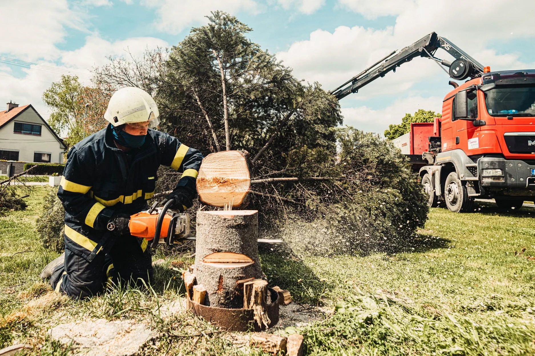 Emergency Tree Removal service in Montgomery, AL