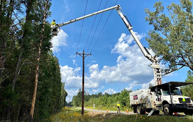 Power Line Clearance Pruning service in Montgomery, AL
