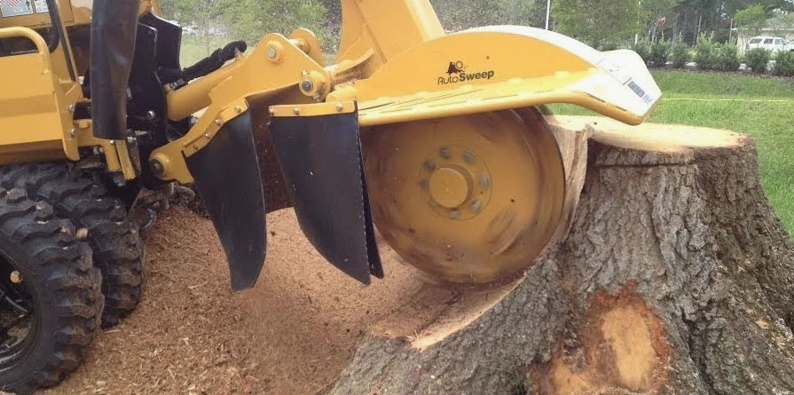 Stump Grinding & Removal service in Montgomery, AL